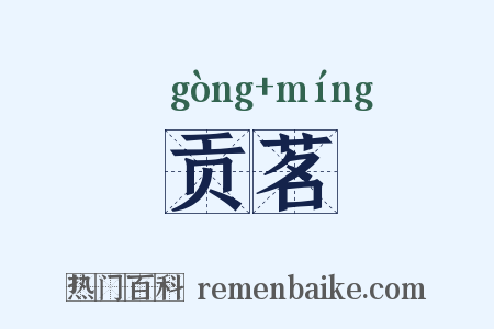 贡茗是什么意思的图片